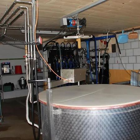 Alphaus Hasler By Interhome Apartamento *