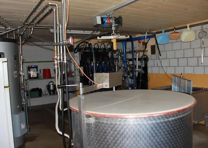 Alphaus Hasler By Interhome Lejlighed *