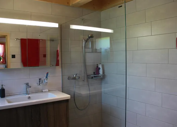 Alphaus Hasler By Interhome Lejlighed Lenk